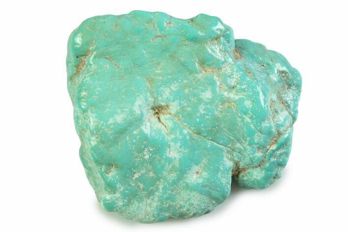 Polished Chilean Turquoise ( grams) Nugget #358851